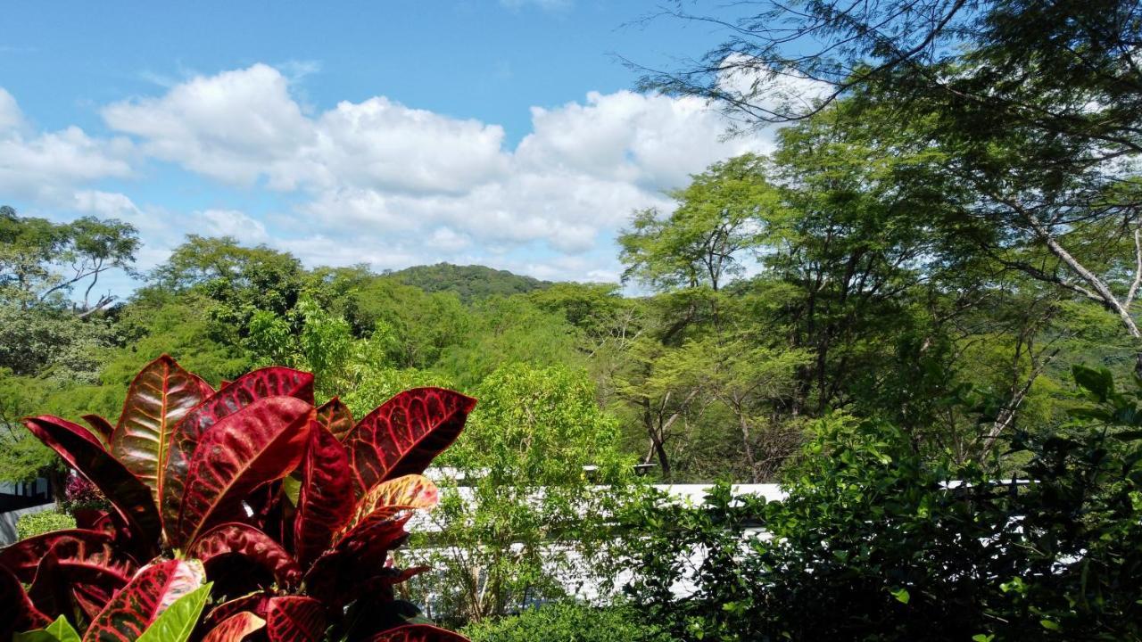 Pacific Kalokairi - Adults Only Hotel Tamarindo Exterior photo